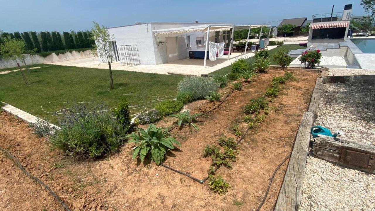 White House En Enguera - Fantastica Casa Con Jacuzzi Piscina Y Barbacoa Διαμέρισμα Εξωτερικό φωτογραφία